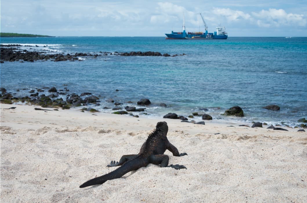 Von Santa Cruz nach San Cristóbal