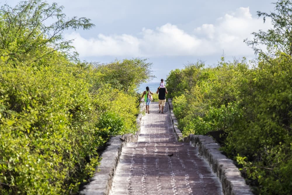 Die Insel Santa Cruz in freier Erkundung