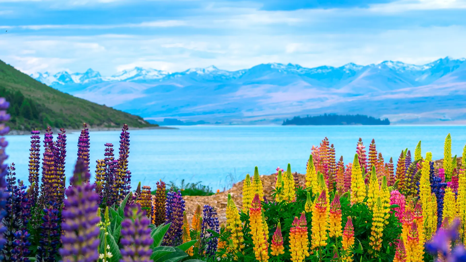 Neuseeland