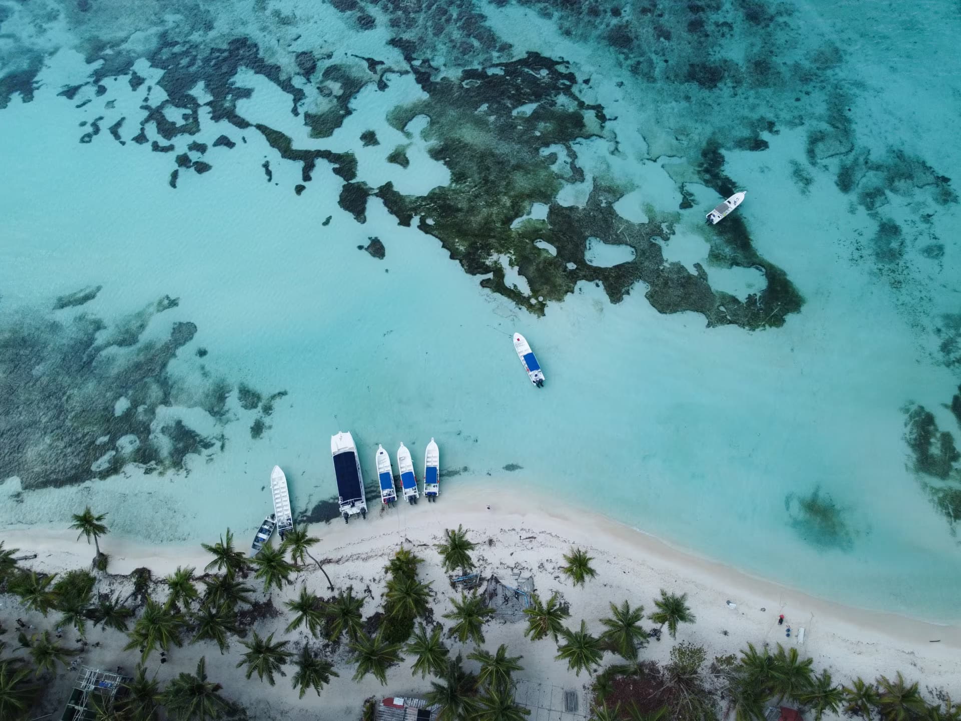 Cap vers Saona : nature, histoire et snorkeling