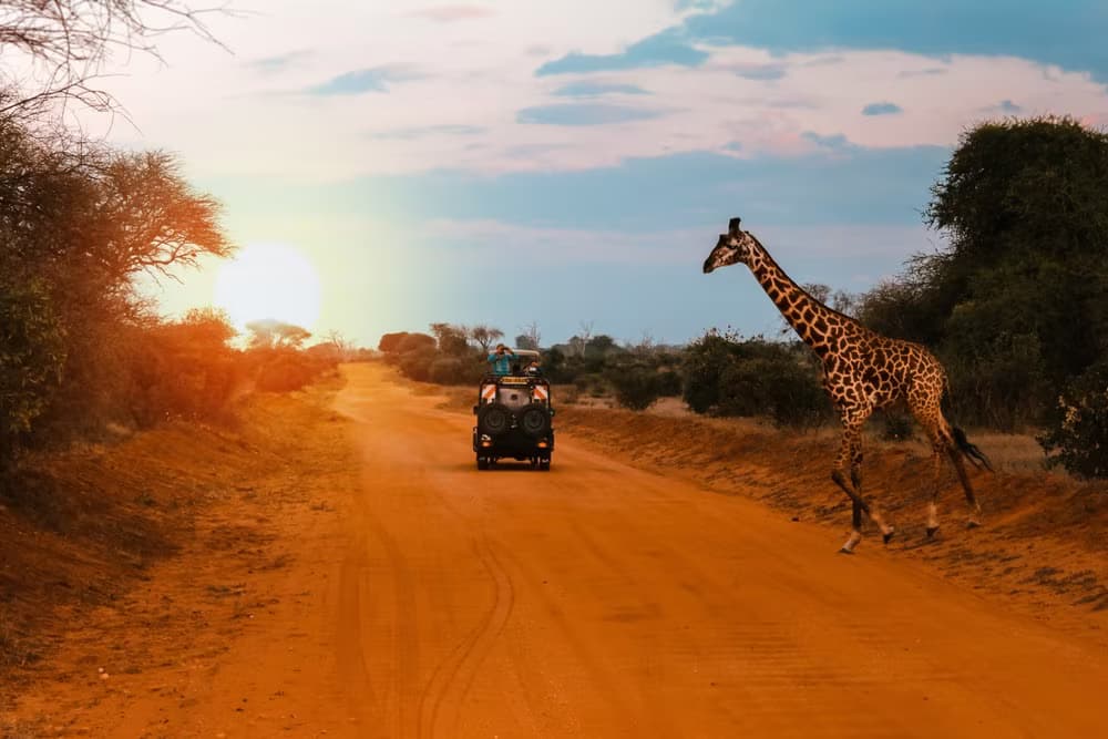 Safari-Camping als Familie