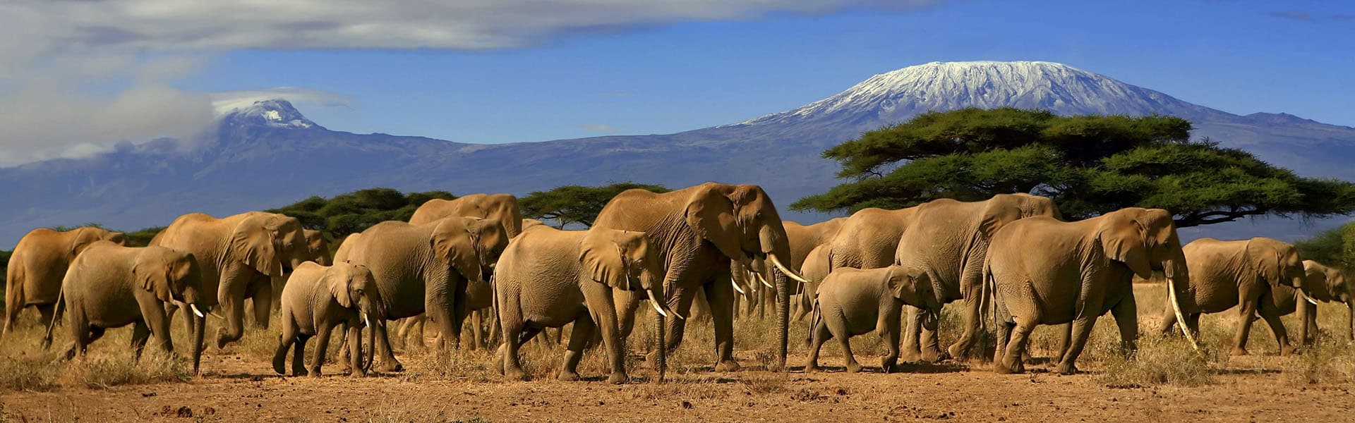 Kenia