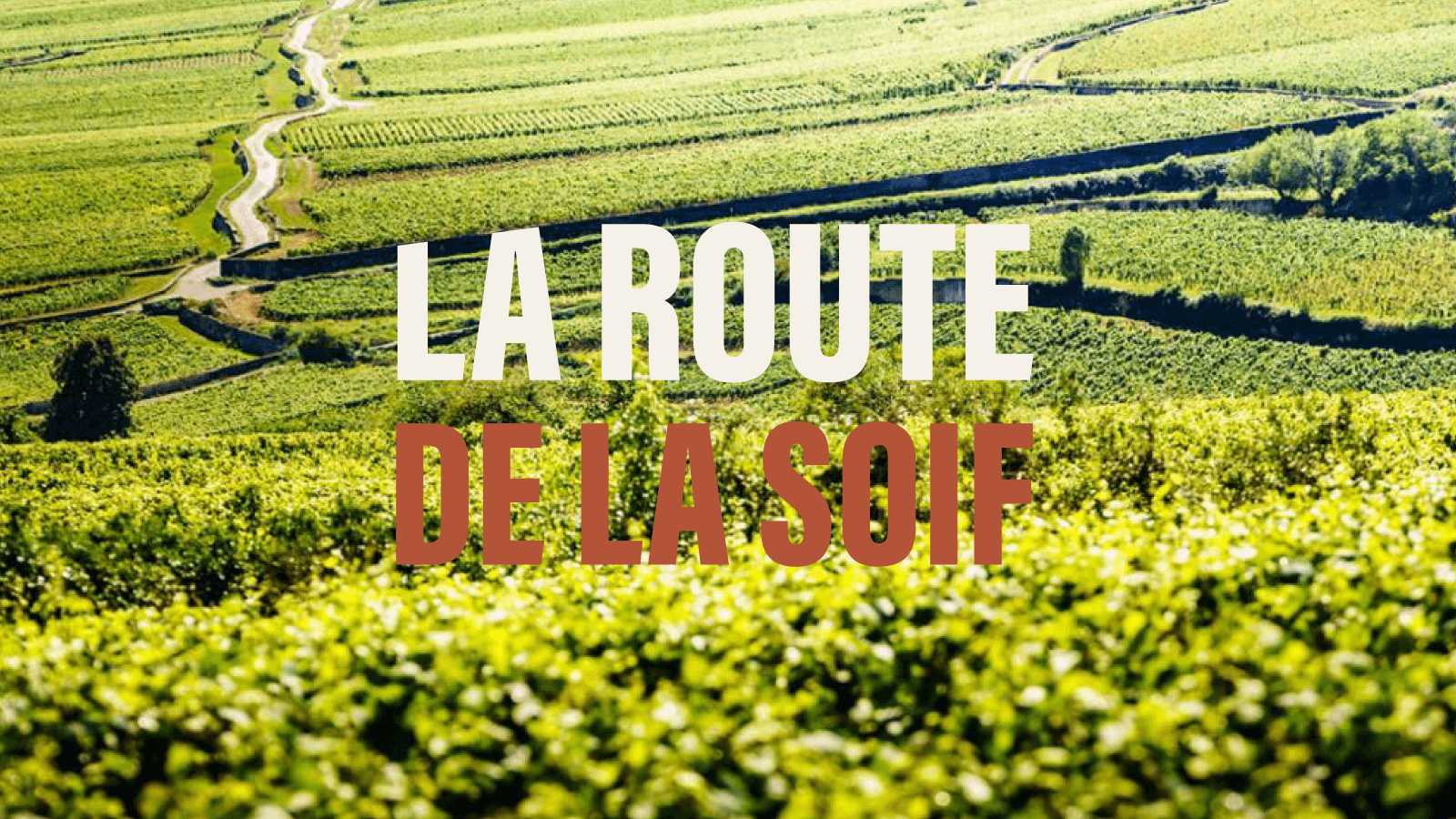 Beaune, Wanderungen und Burgunderweine