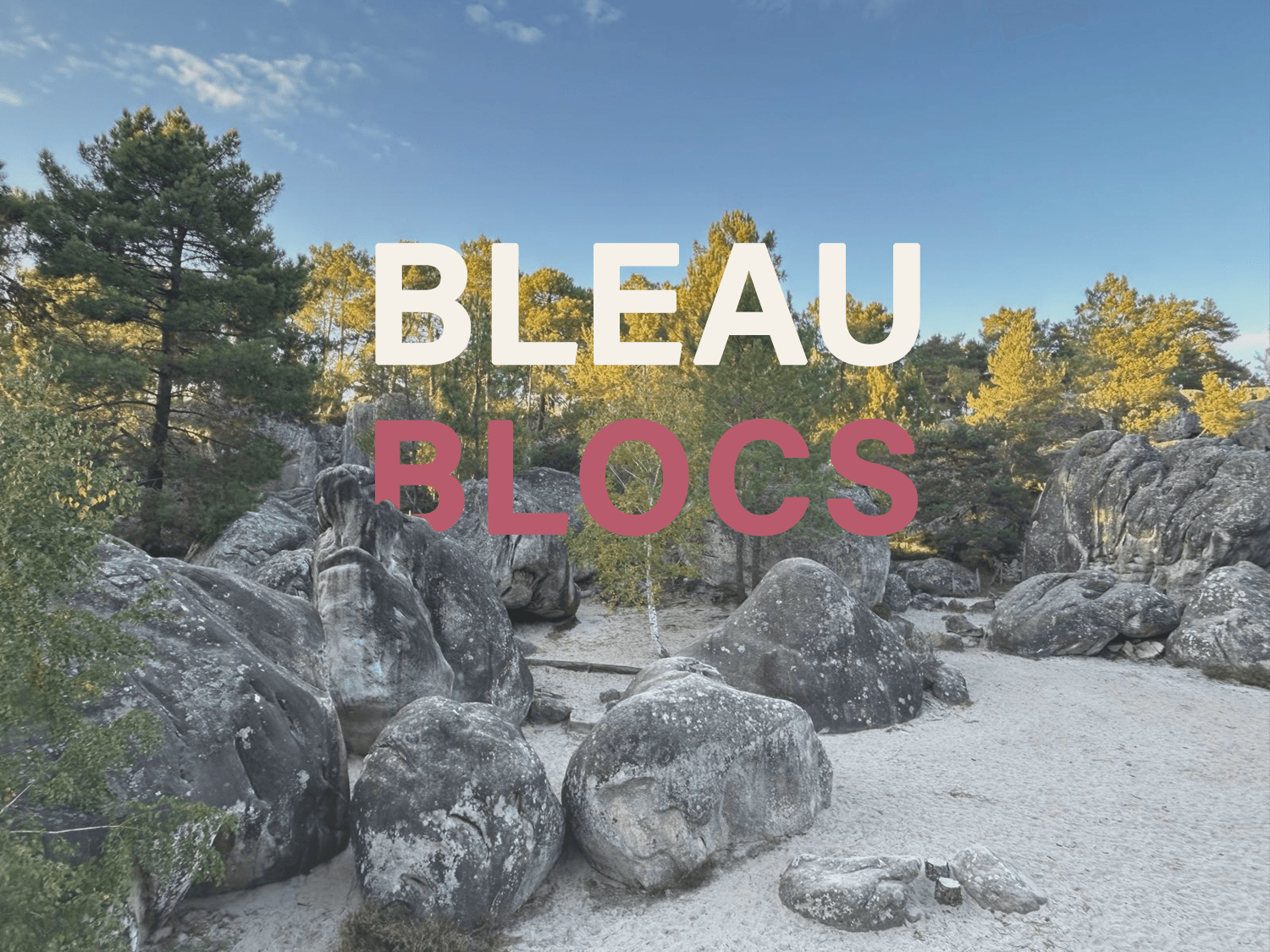 Kletteraufenthalt im Wald von Fontainebleau