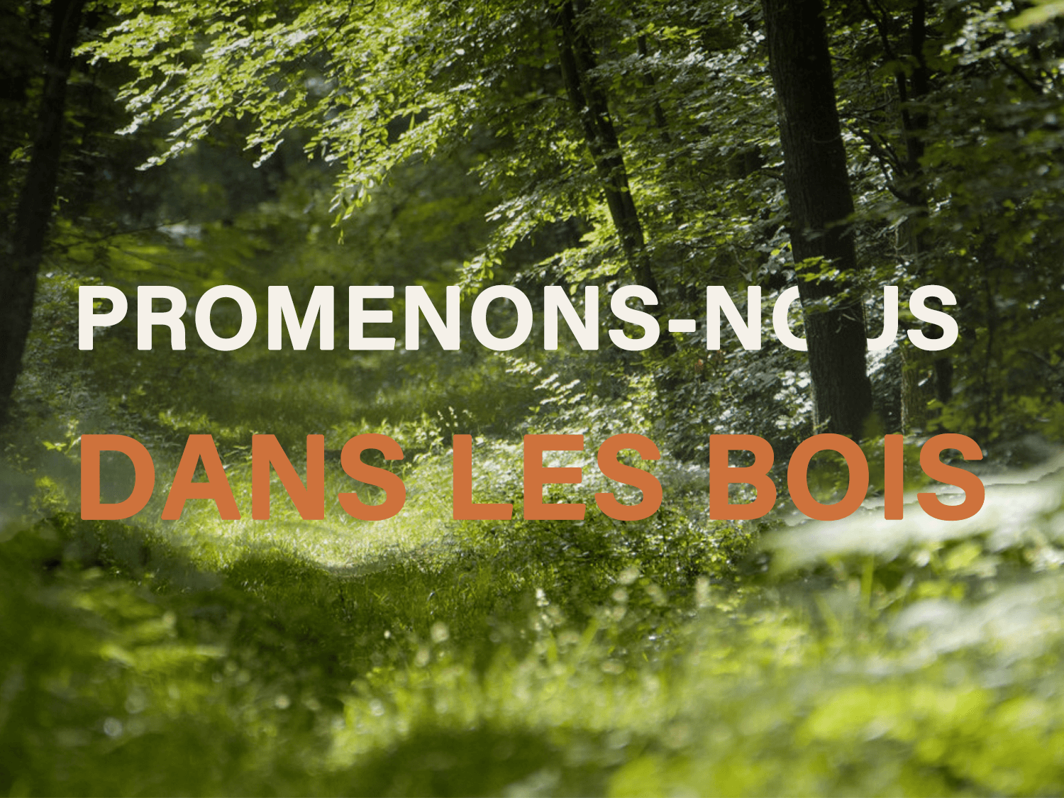 Wochenende Wandern und Biwak im Wald von Fontainebleau