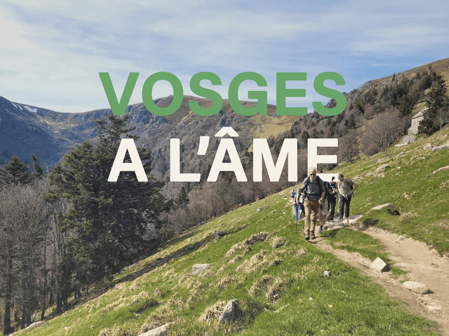 Auf den Vogesen-Graten: Wandern, Berghütte und gutes Essen