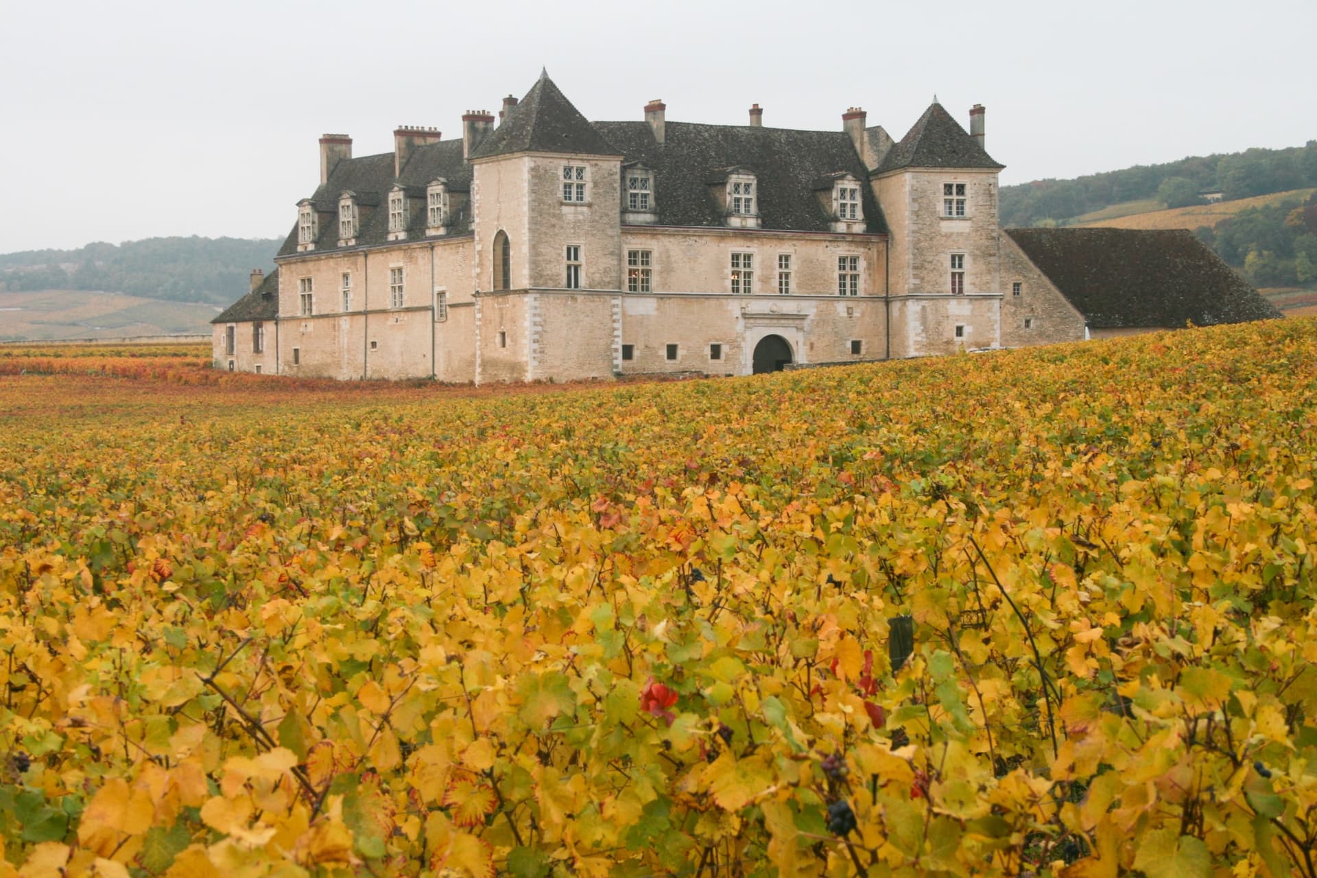 Wanderung im Herzen der großen Weinlagen
