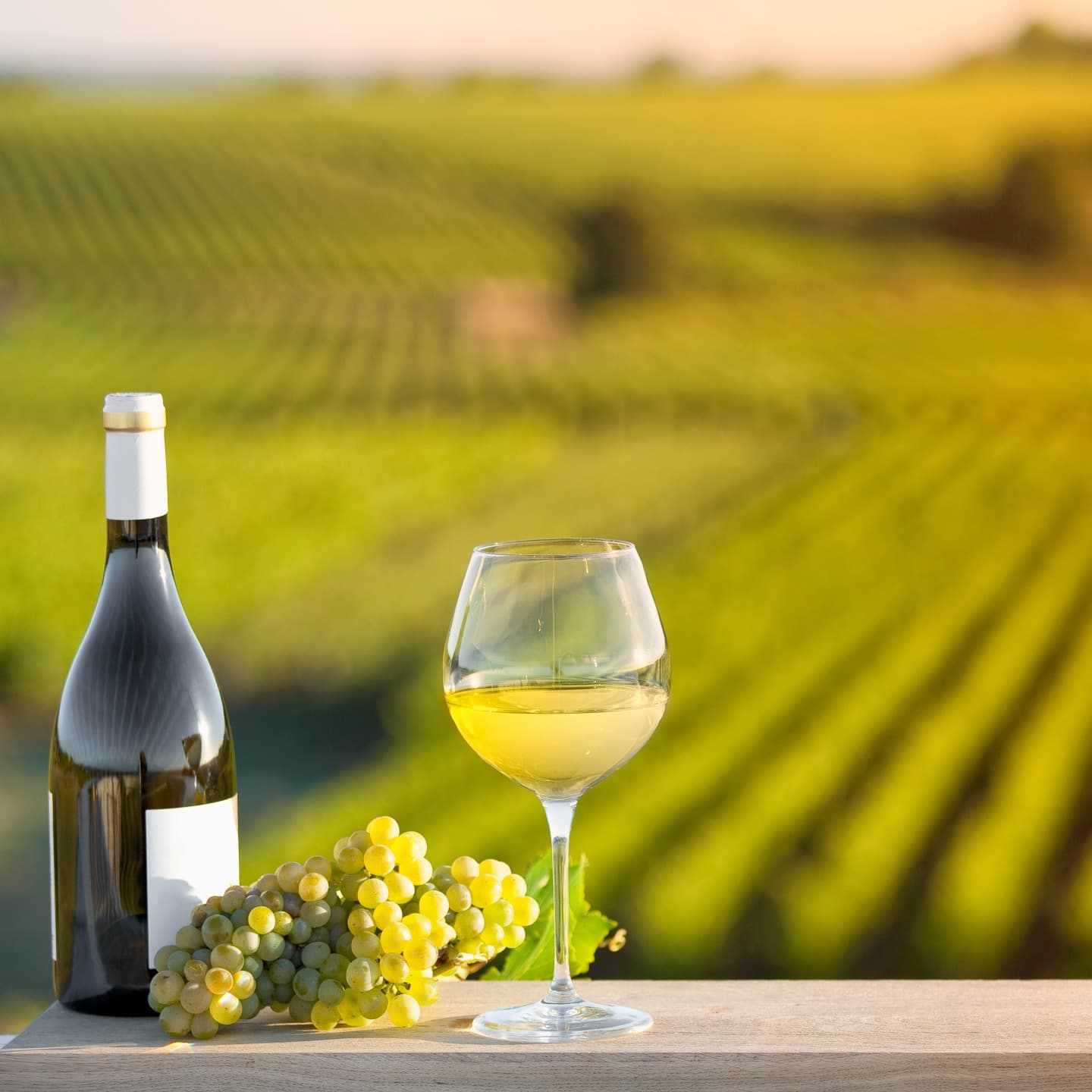 Weinberge des Elsass und Alt-Colmar