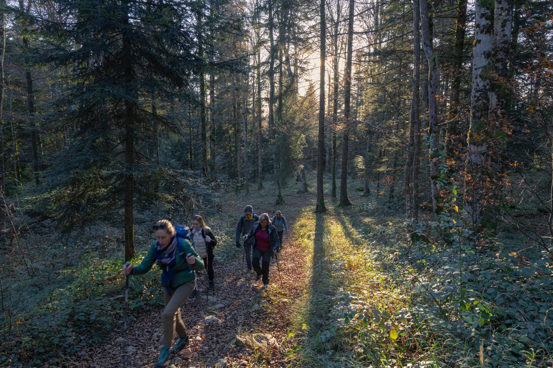Rückkehr zur Erde für eine Wanderung