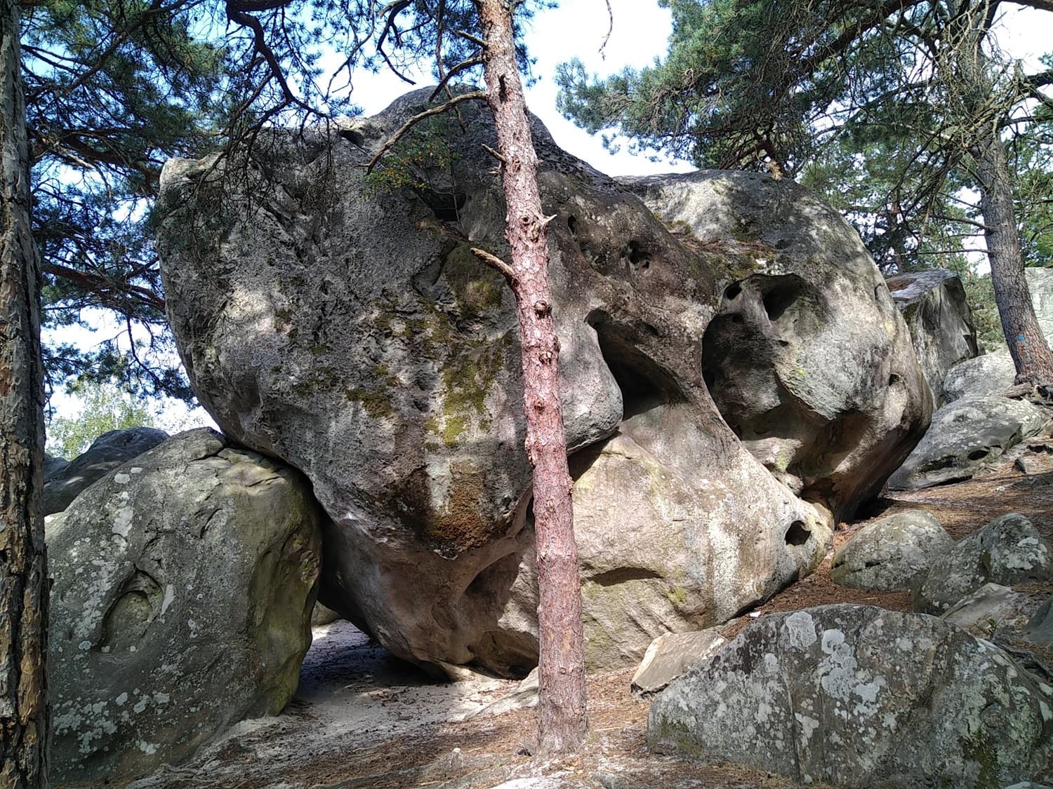 Lebendig inmitten der Felsen des Paradieses
