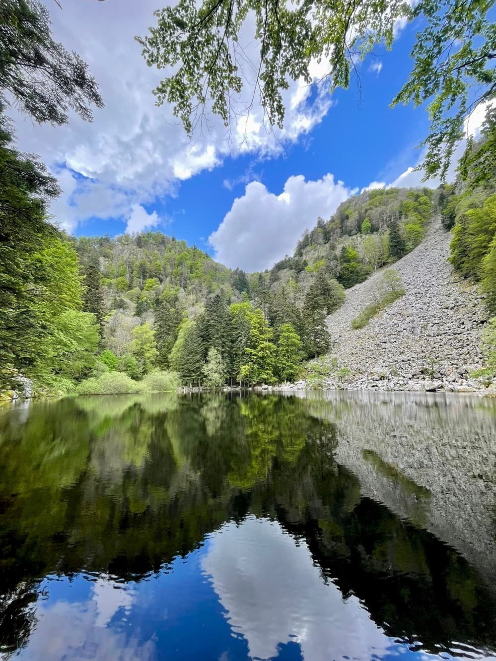 Von dem Tal von Munster zum Bergheim, erstes Eintauchen in die Vogesen