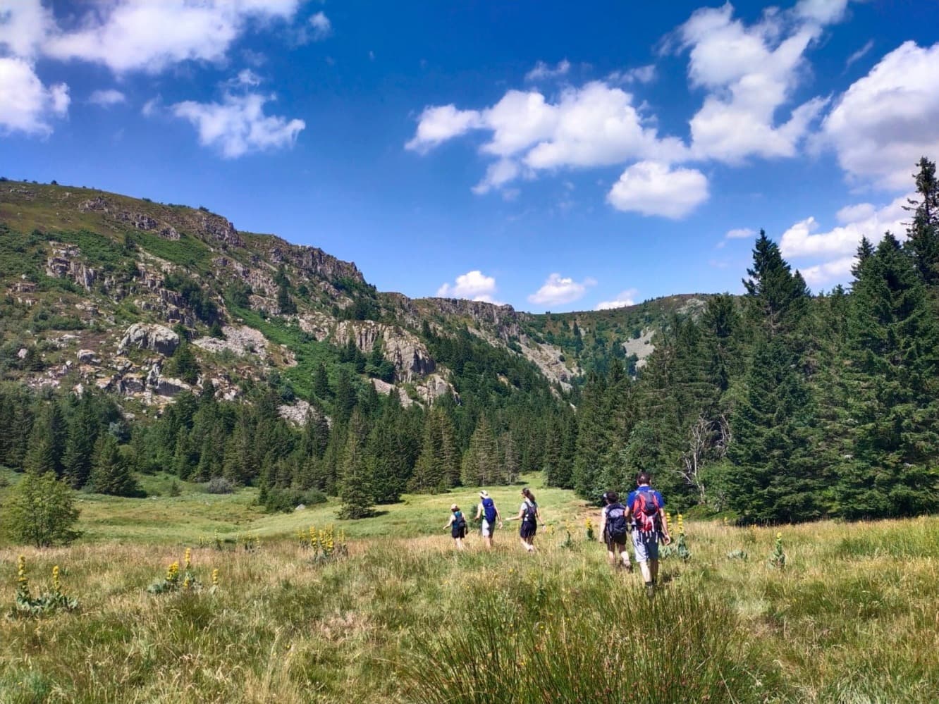 Wanderung zwischen Vogesen-Seen und Gipfeln mit Captain Martin