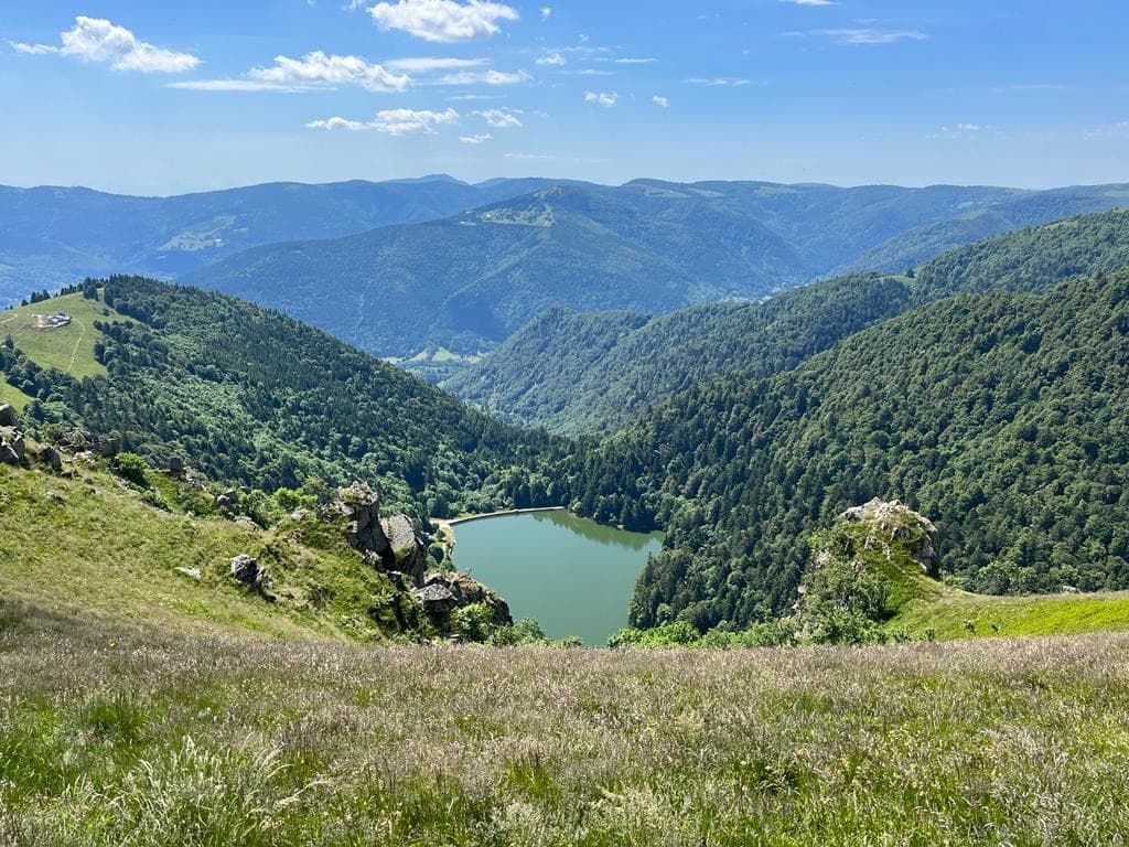 Letzte Wanderung zum Tal und Rückkehr nach Munster oder Metzeral