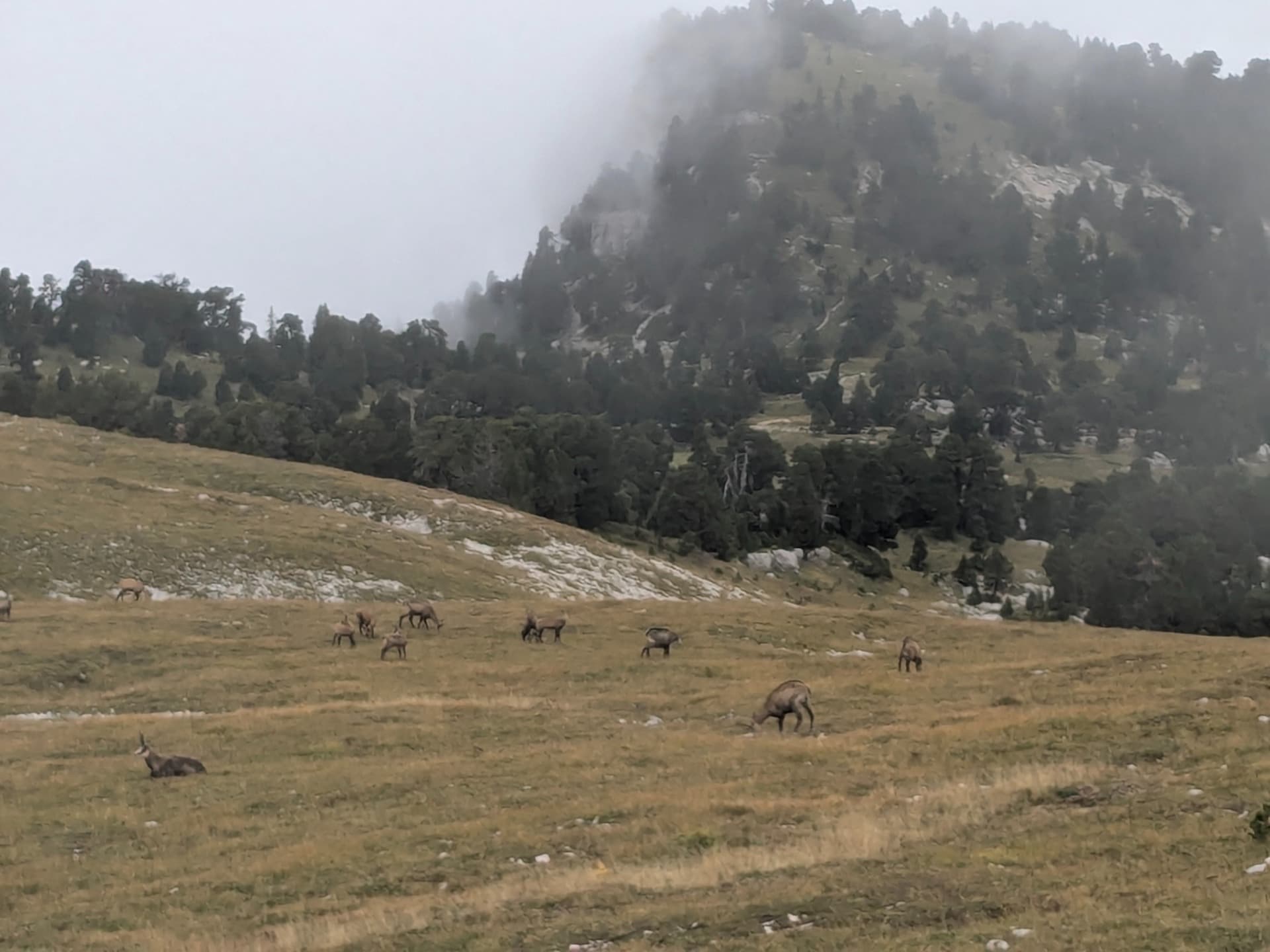 Auf den Graten der Chartreuse