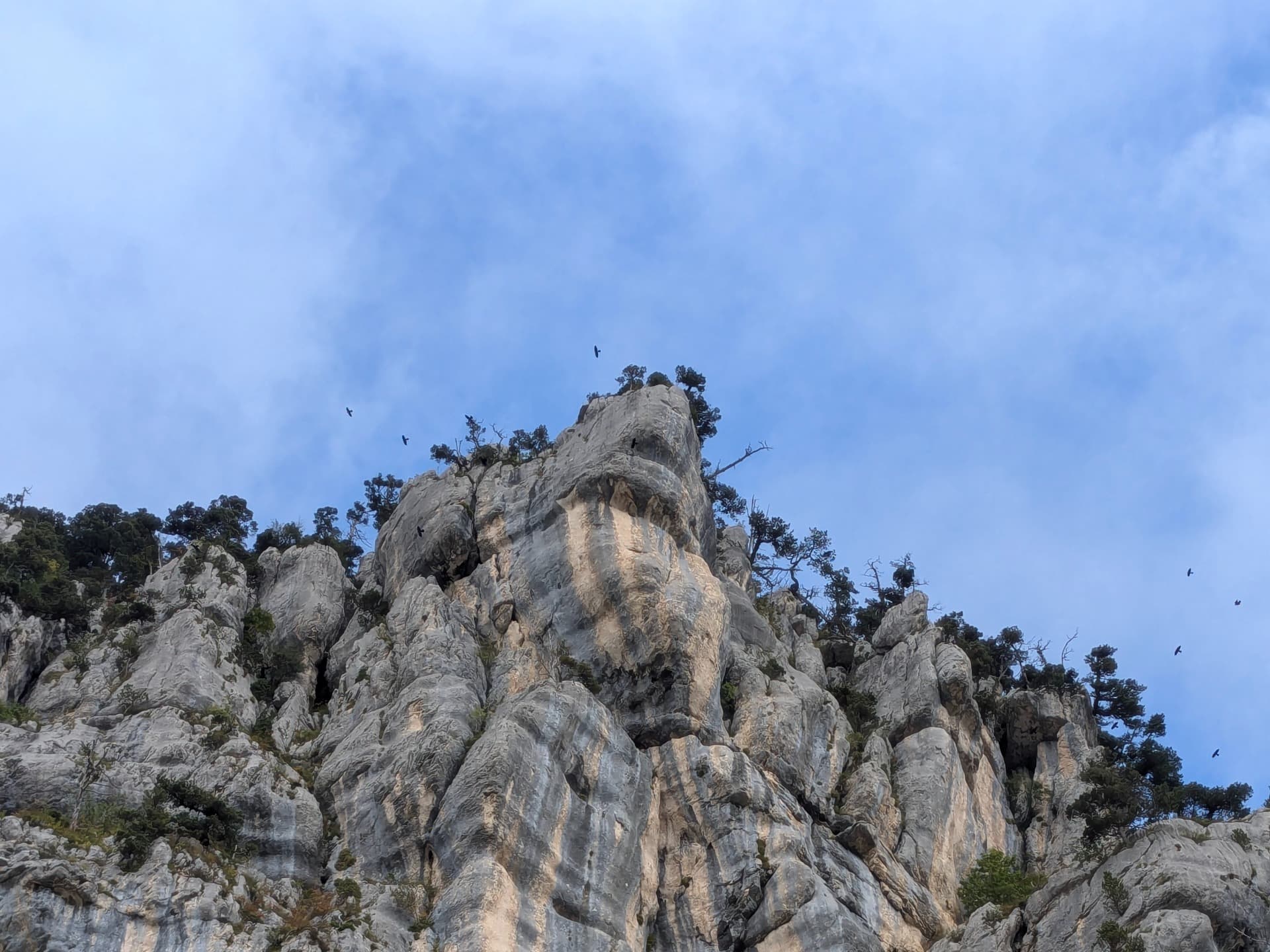 Verlassen Sie die Stadt für die Höhen der Chartreuse