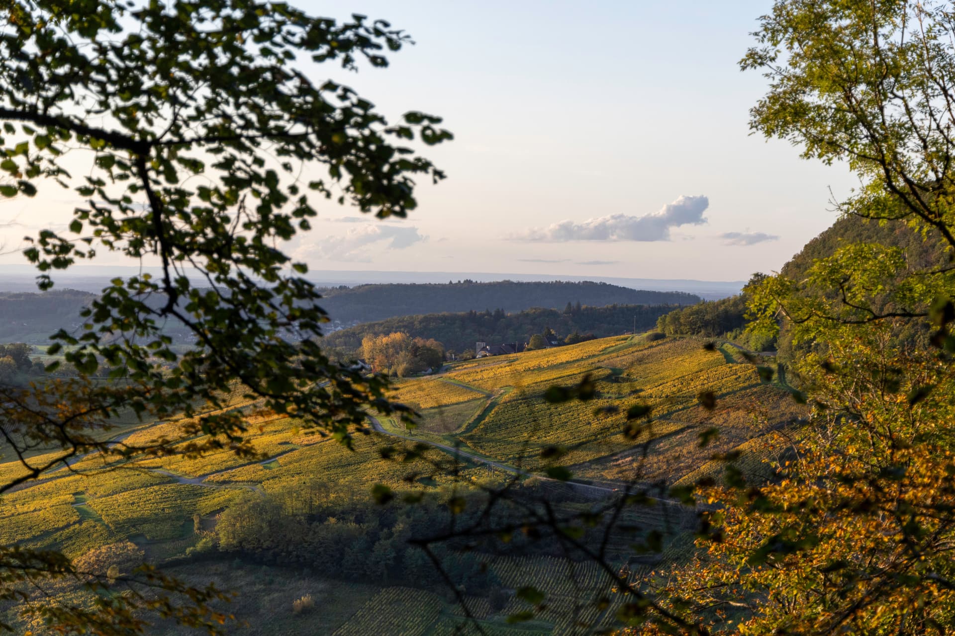 Erste Schritte in den Weinbergen des Jura und Unterkunft auf dem Schloss