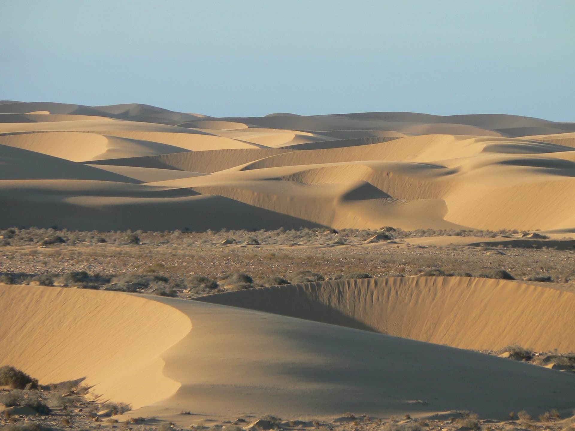 Von Neuem im Sahara durchstarten