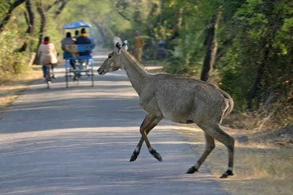 Fahrradtour im Rajasthan