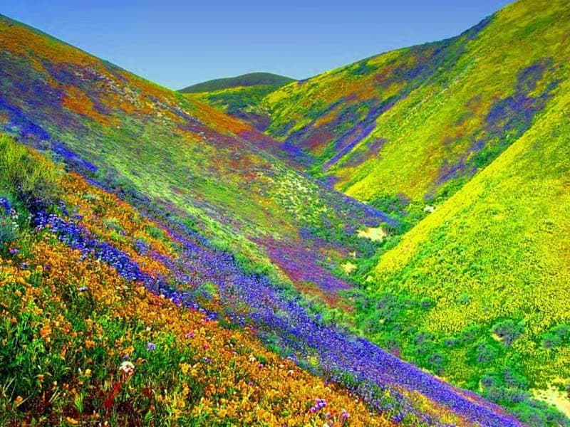 Die Wanderung durch das Tal der Blumen