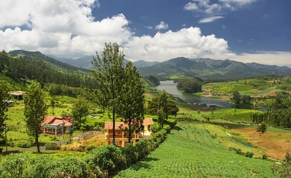 Découverte du Sud de l'Inde
