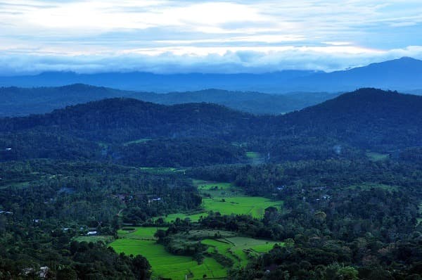 Zwischen Karnataka und Kerala
