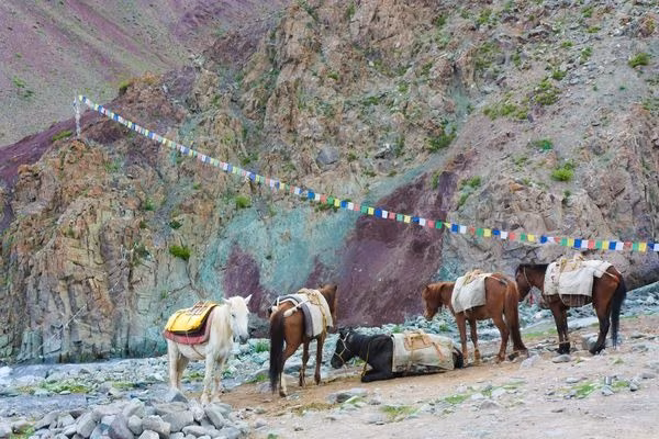 Stok Kangri mit dem Markha-Tal