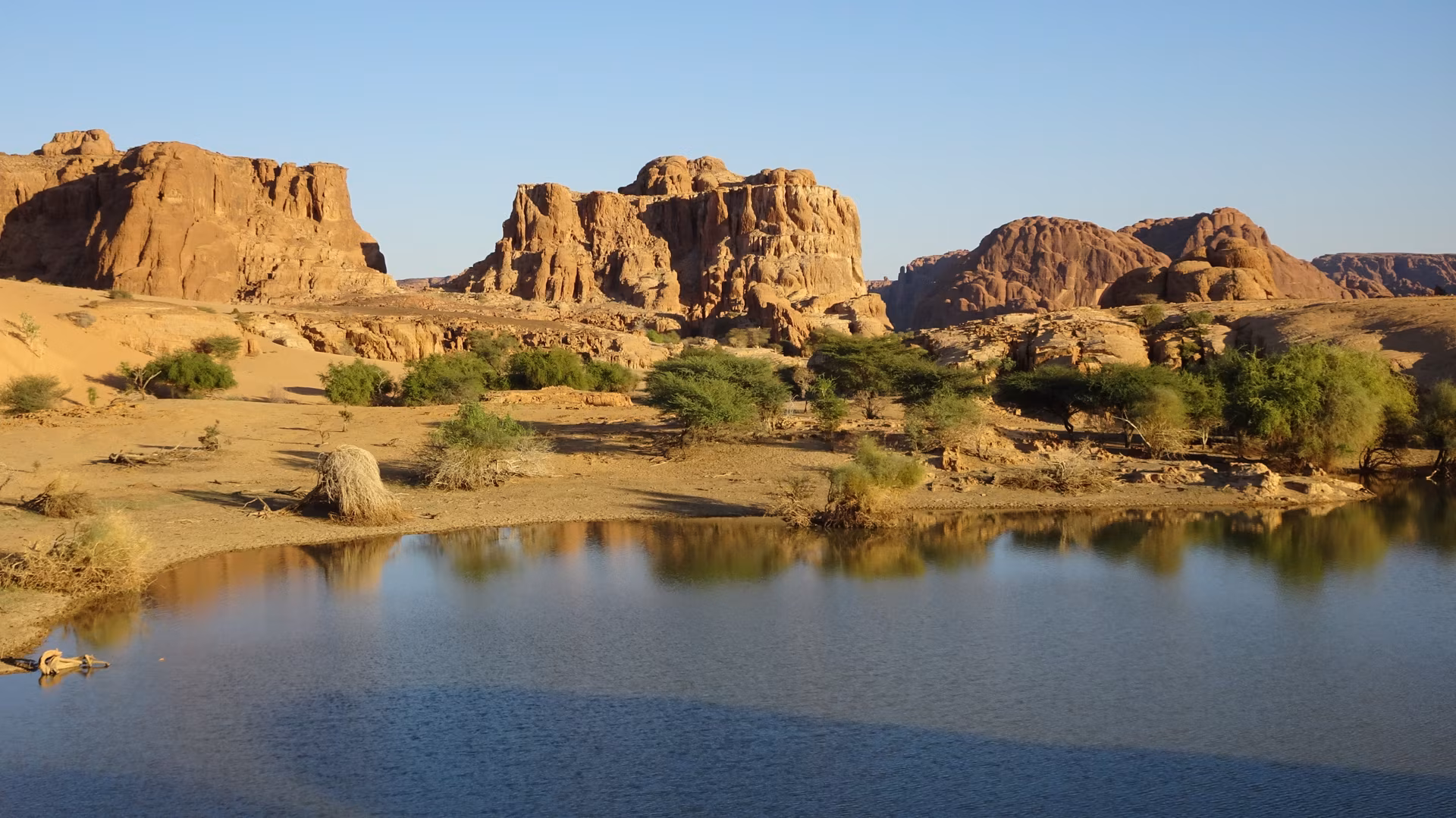 Von der Ennedi zum Zakuma-Park