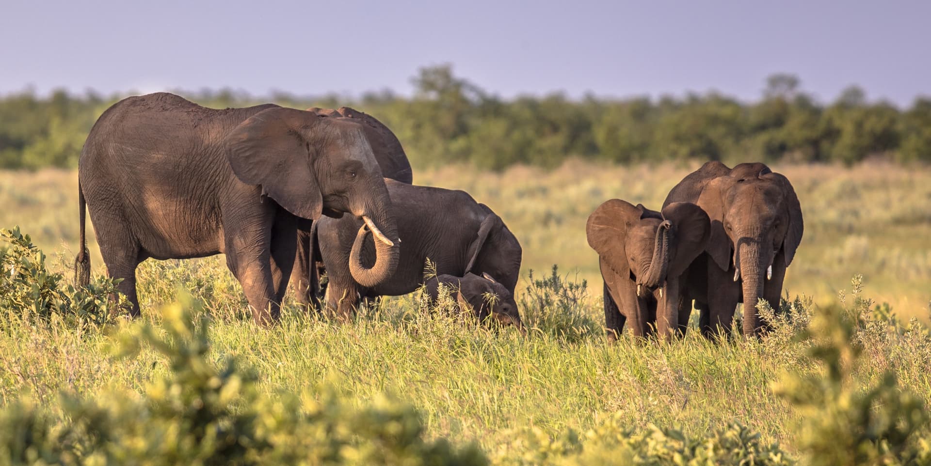 Vom Kruger zur Elephant Coast über Eswatini
