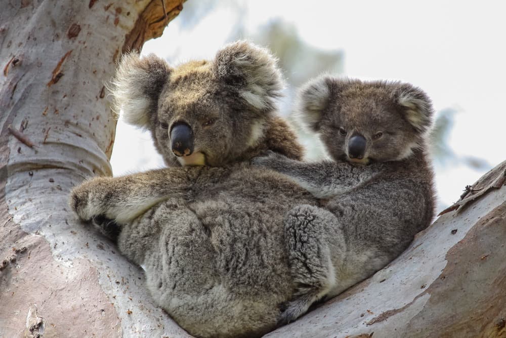 Jour 6