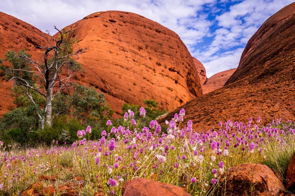 Couleurs d'Australie