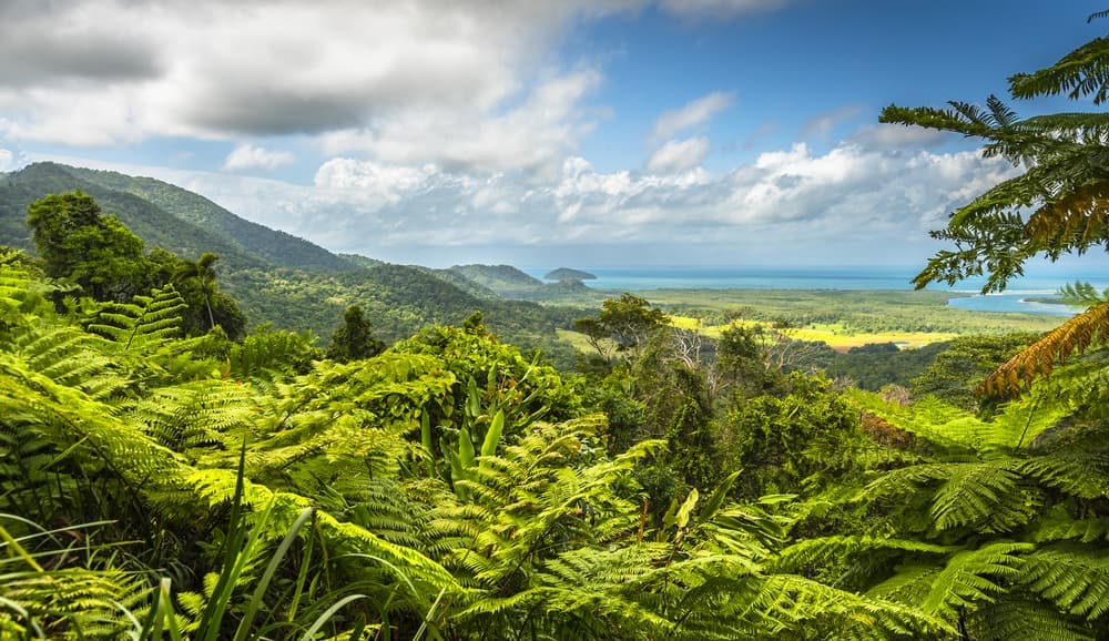 Nationalparks, Natur und Traumstrände