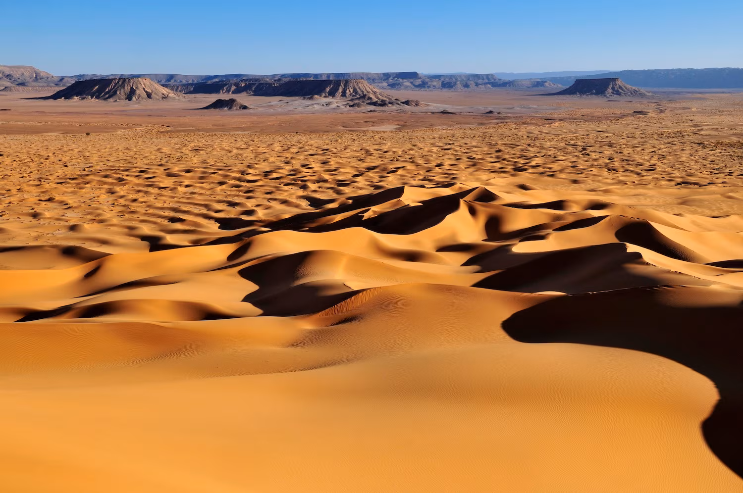 Unerwartete Magie des Tassili N'Immidir