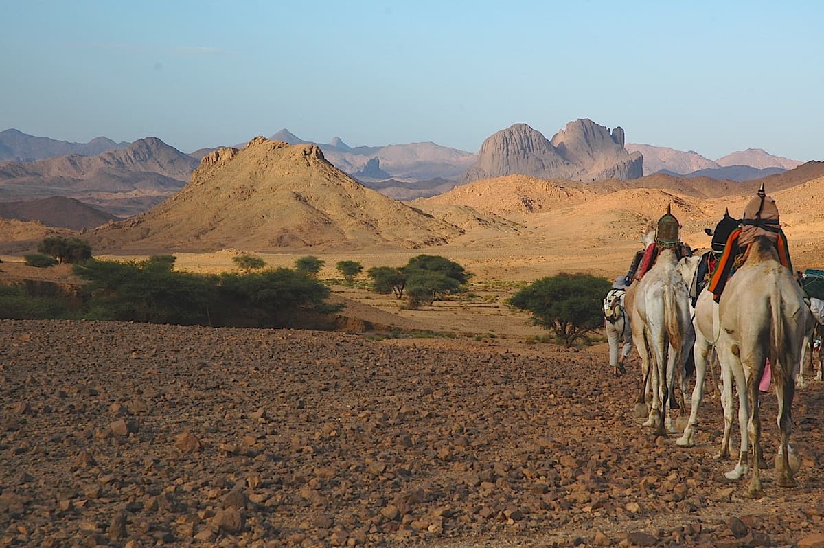 Kamelritt von Tamanrasset zum Assekrem über das Wadi Tanget und das Aréchum
