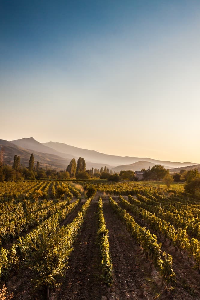 La Route des Vins en Macédoine