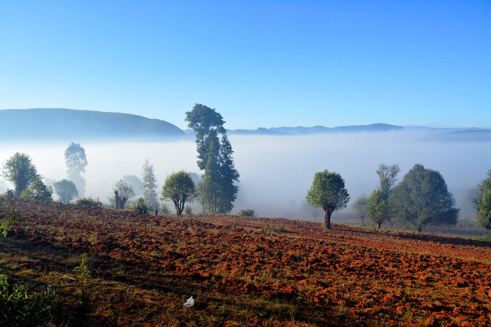 Dreieck Gold und Trekking im Shan-Land