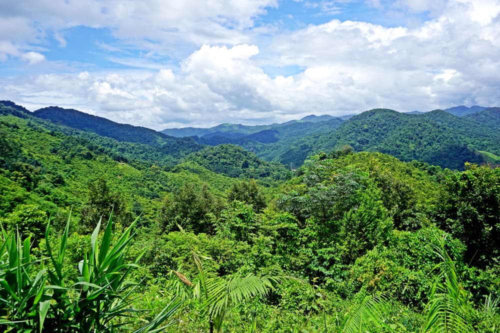 Luang Namtha