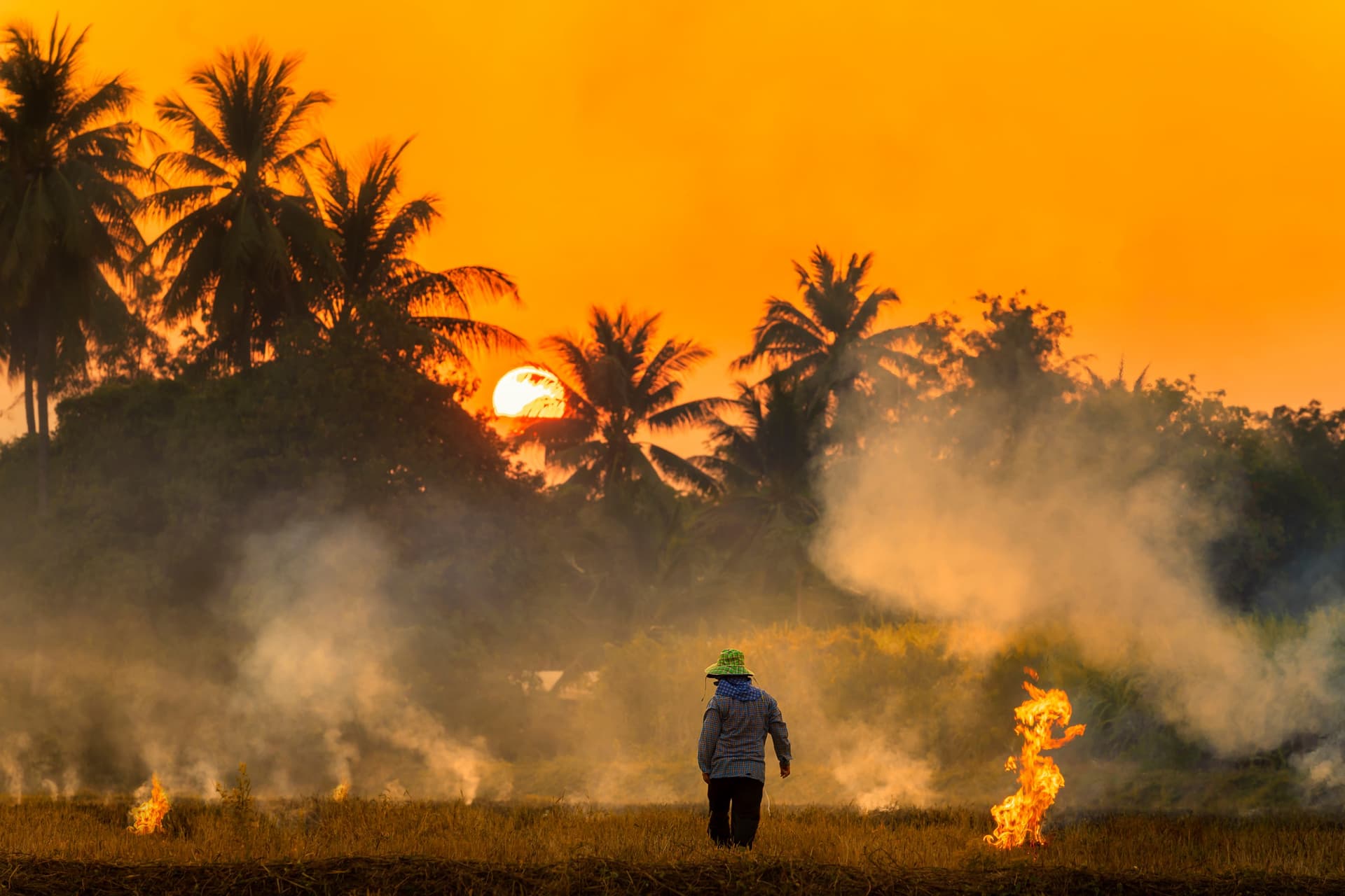 Waldbrandseason in Thailand: Wann findet sie statt und wie vermeidet man sie?