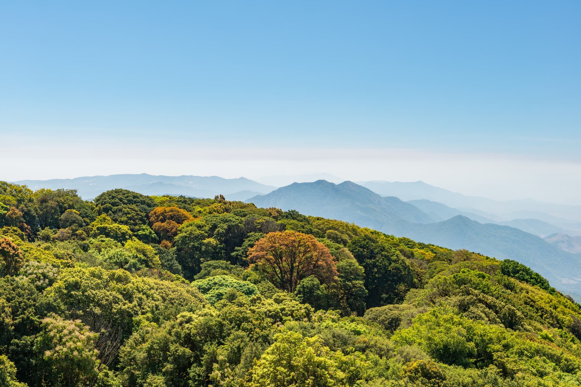 kaew mae pan