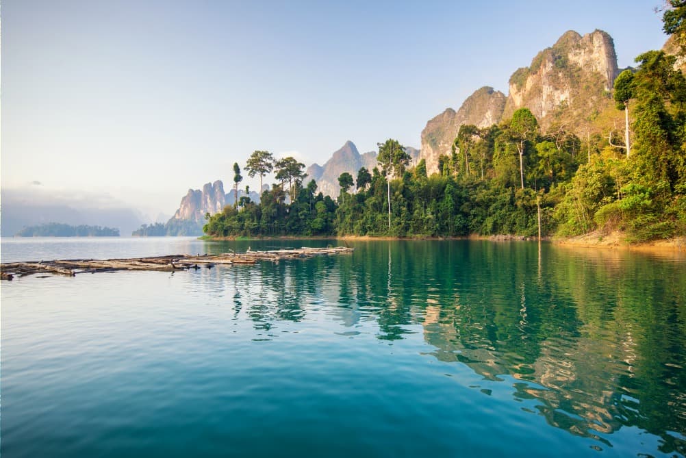 Khao Sok Nationalpark: Ausflüge durch den thailändischen Dschungel