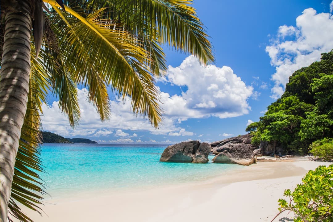 Alles Wissenswerte über Ausflüge zu den Similan-Inseln