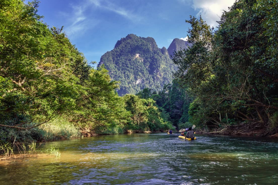 Naturschutz in Thailand: 5 erfreuliche Nachrichten, die Hoffnung geben