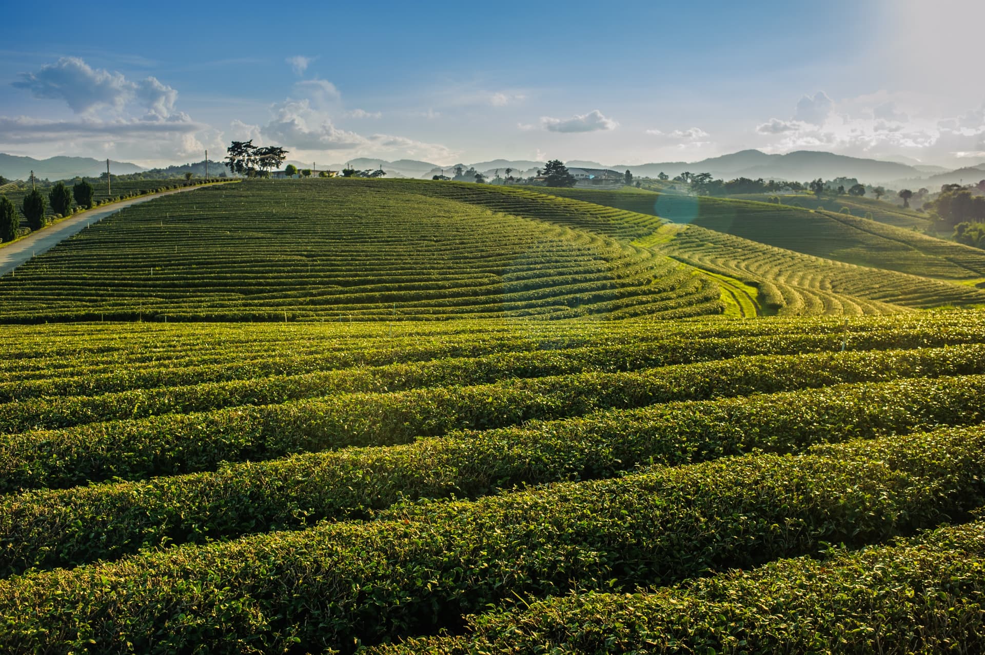 Die Berge des Nordens und die Strände von Koh Yao Yai