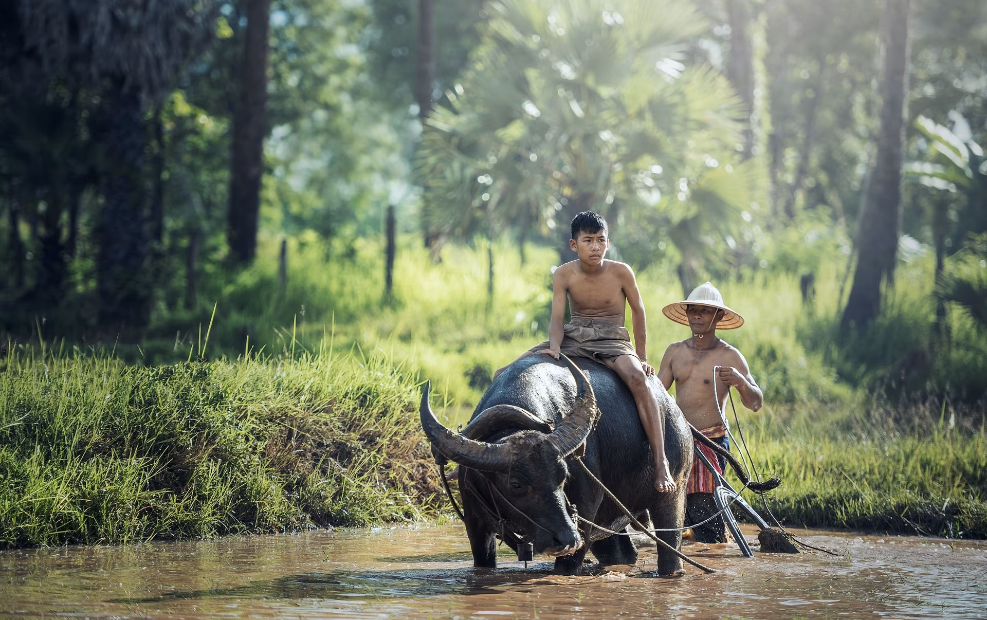 Thailand Anders