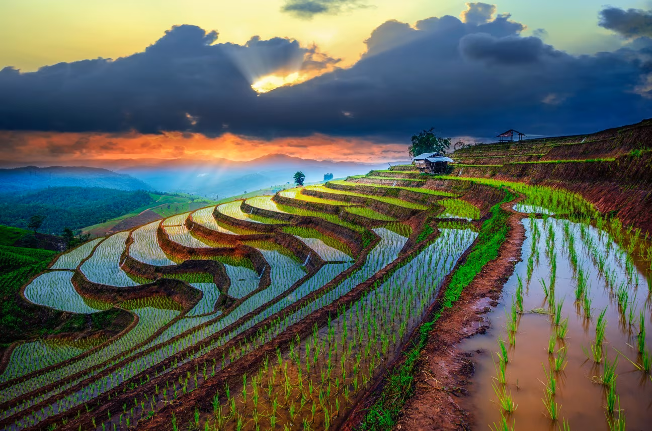 Thailand im Sommer