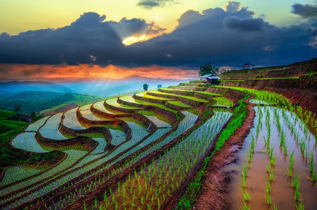 Thailand im Sommer