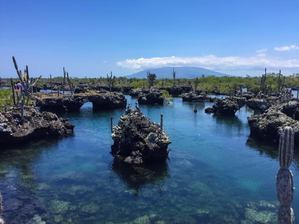 Flucht und Freiheit auf den Galápagos 8 Tage
