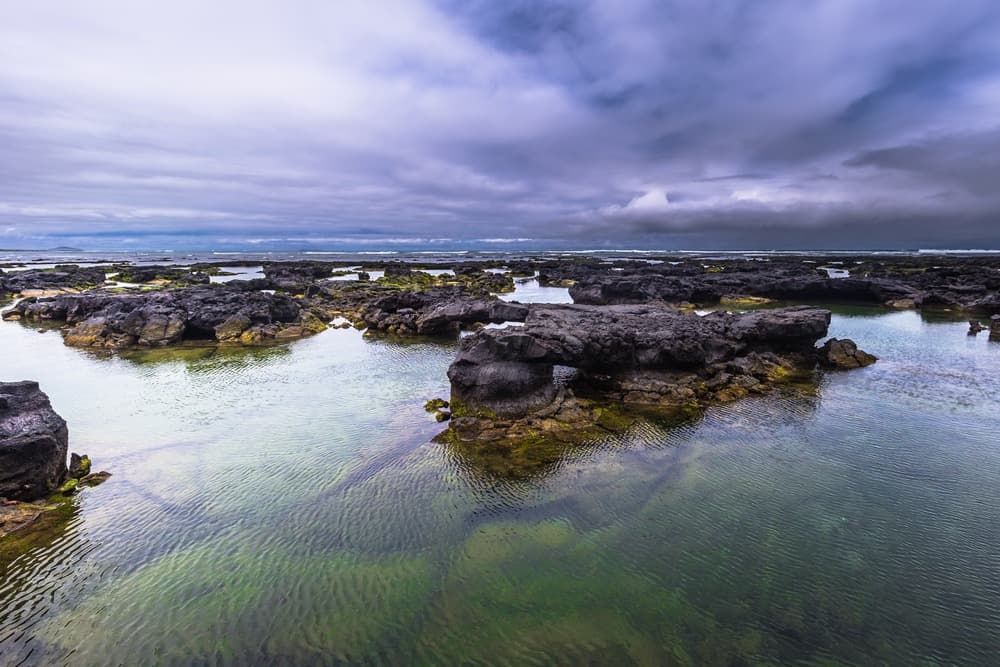 Galápagos in Freiheit