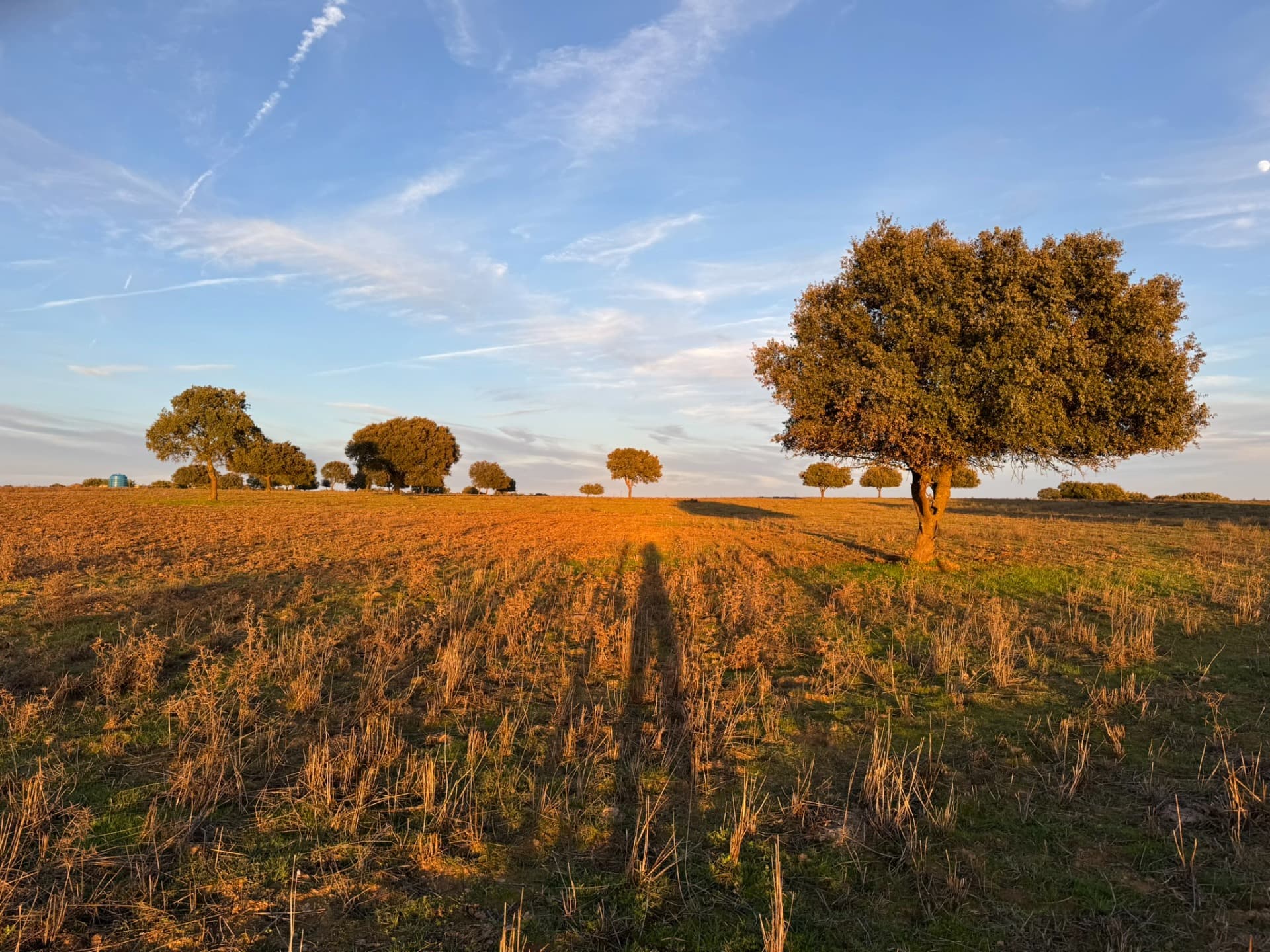 Flucht im Alentejo: Dörfer, Weinberge und Kulturschätze