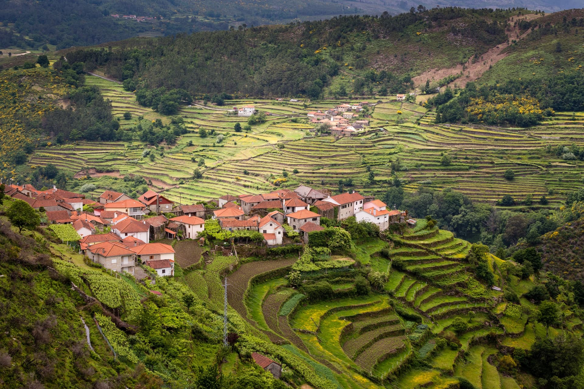 Portugal authentisch: Traditionen aus Norden und Zentrum