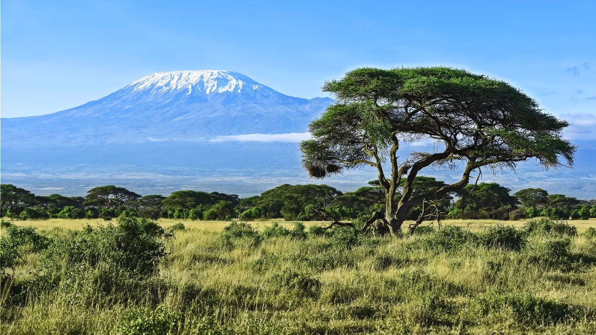 Machame Route: 6 Tage / 5 Nächte im Gebirge